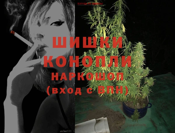 гидропоника Алзамай