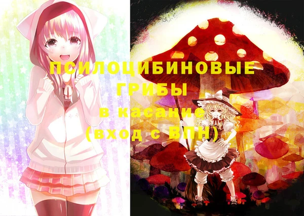 дмт Алексин