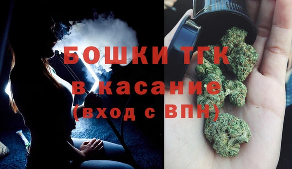 дмт Алексин
