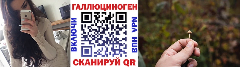 Псилоцибиновые грибы прущие грибы  Гурьевск 